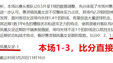 中国“磁吸效应”愈发明显，未来展望乐观。